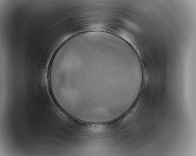 X0000088481090200706121526