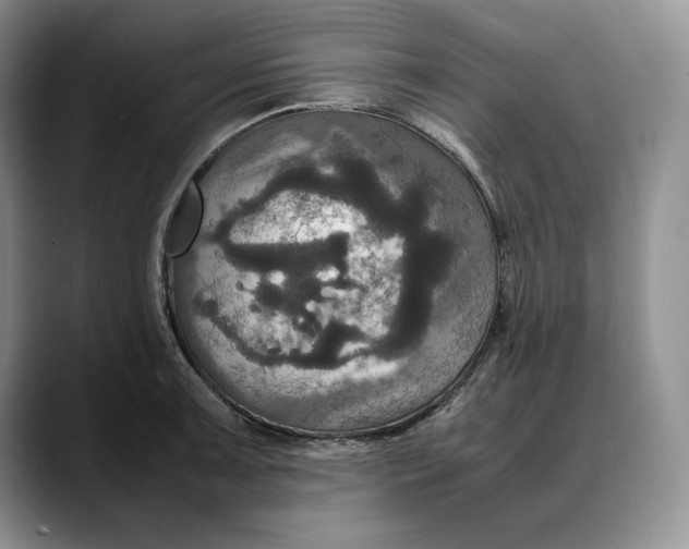 X0000088481091200706121526