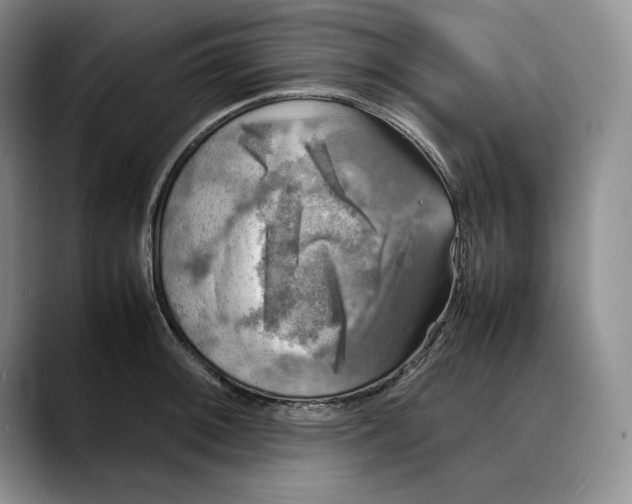 X0000088481092200706121526