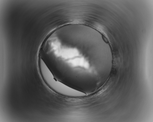 X0000088481095200706121526