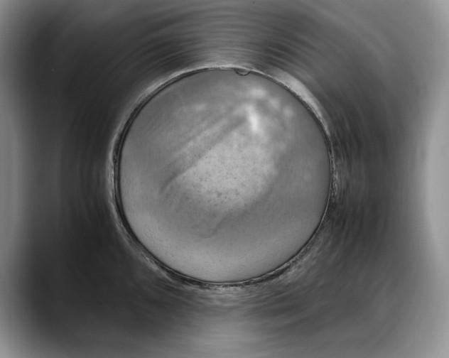 X0000088481096200706121526