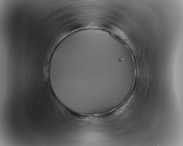 X0000088481097200706121526