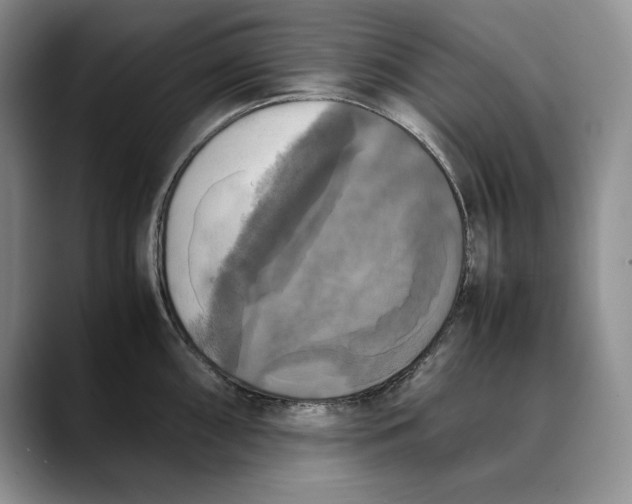 X0000088481098200706121526