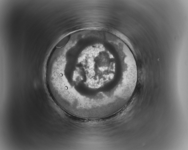 X0000088481099200706121526