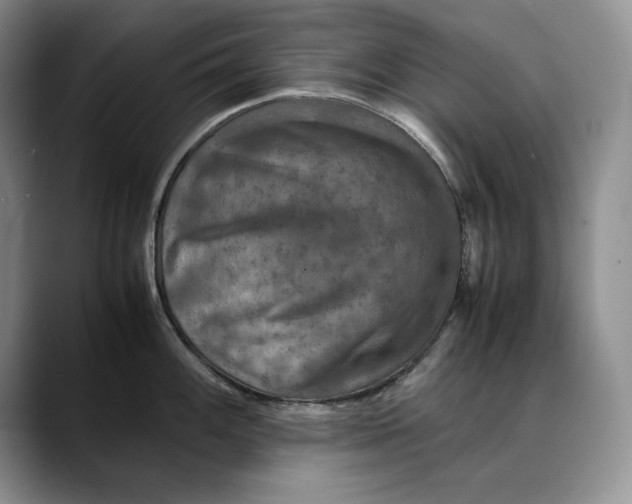X0000088481100200706121526