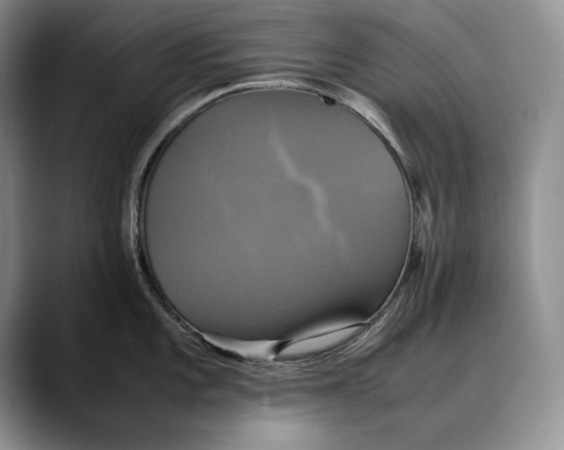 X0000088481101200706121526