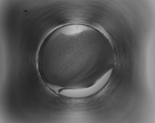 X0000088481102200706121526
