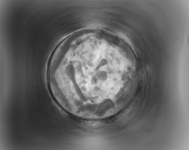 X0000088481103200706121526