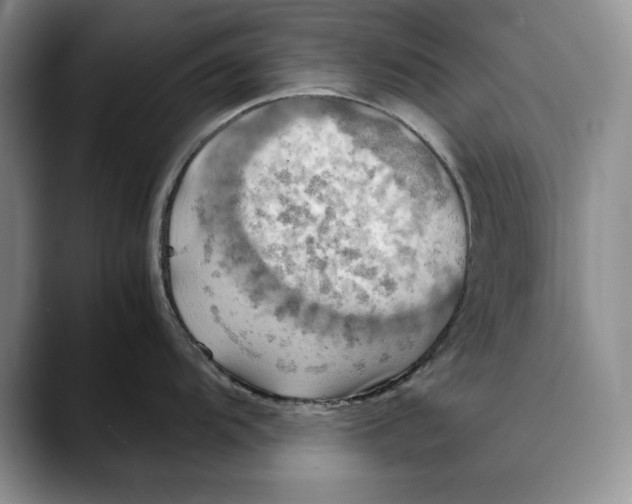X0000088481104200706121526