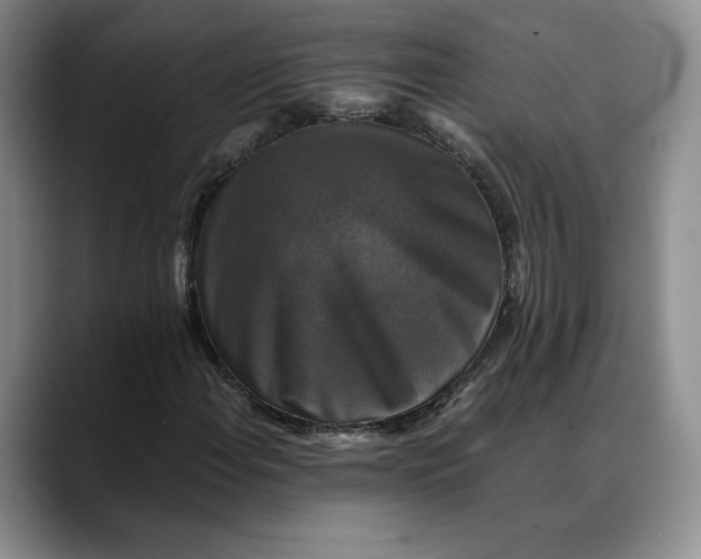 X0000088481108200706121526