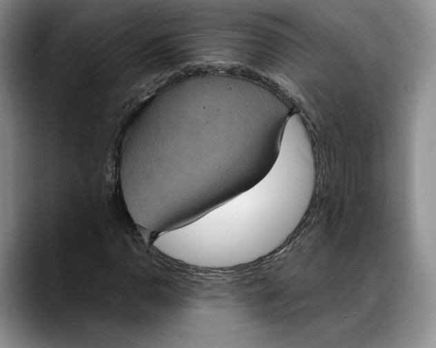X0000088481110200706121526