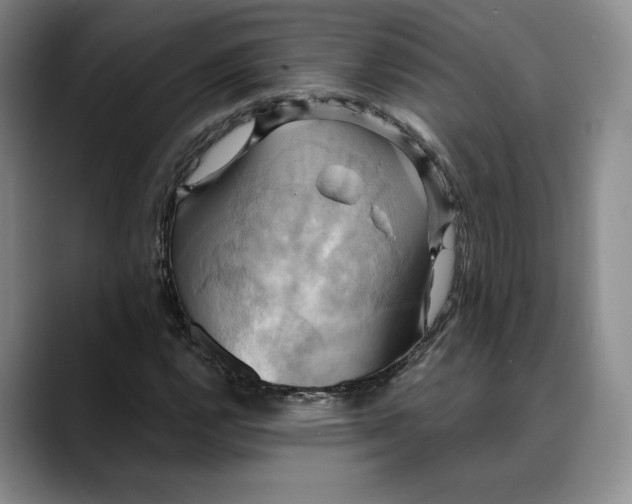 X0000088481112200706121526