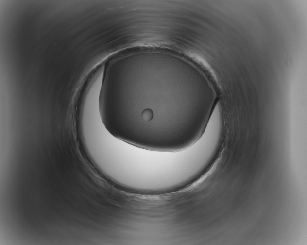 X0000088481114200706121526