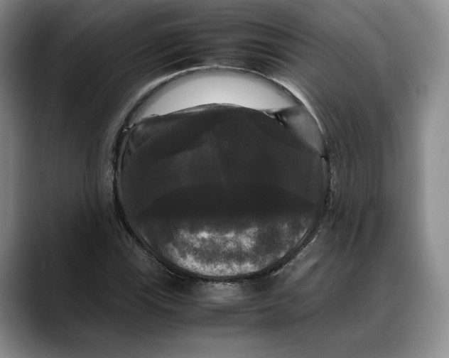 X0000088481115200706121526