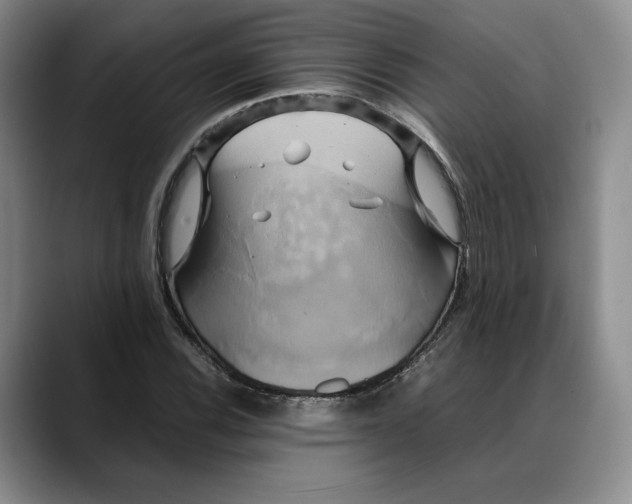 X0000088481116200706121526