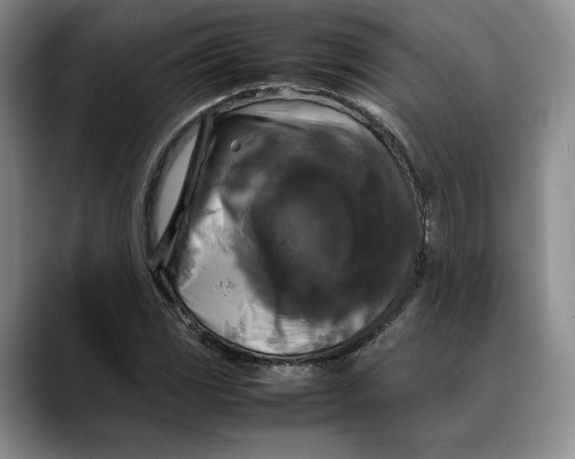 X0000088481117200706121526