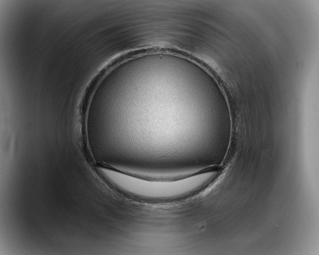 X0000088481118200706121526