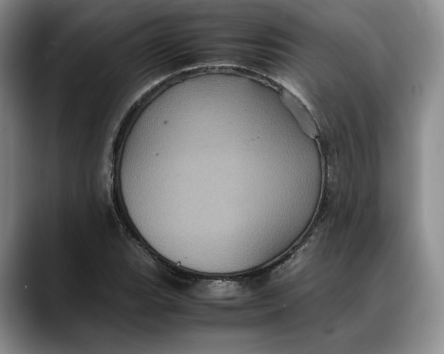 X0000088481119200706121526