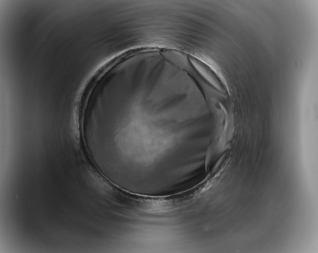 X0000088481120200706121526