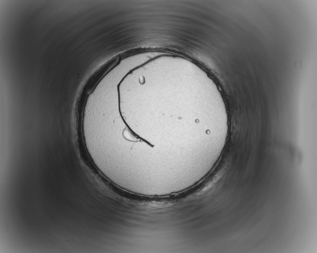 X0000088481122200706121526