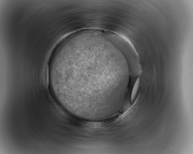 X0000088481123200706121526