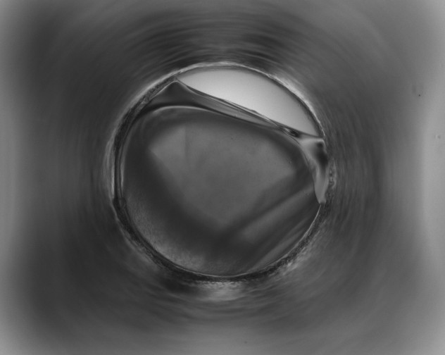 X0000088481127200706121526