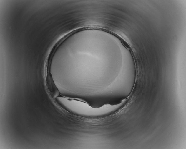 X0000088481128200706121526