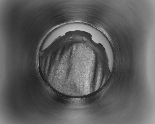 X0000088481132200706121526