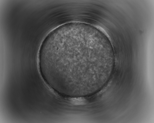 X0000088481133200706121526