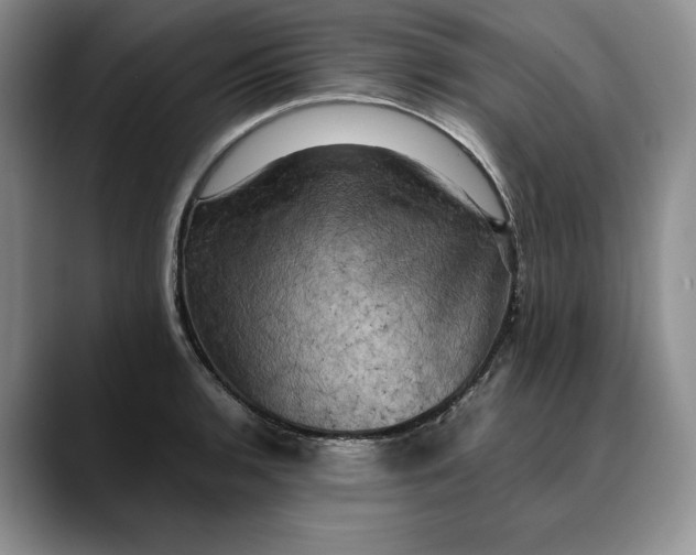 X0000088481136200706121526