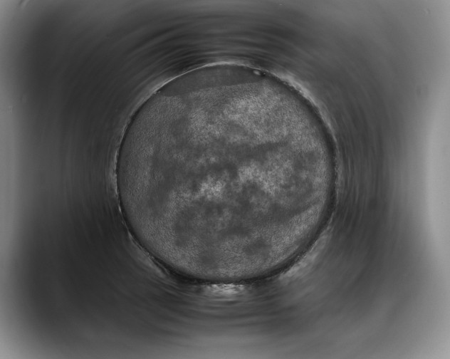 X0000088481137200706121526