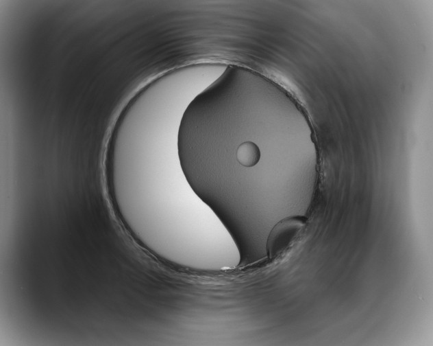 X0000088481138200706121526