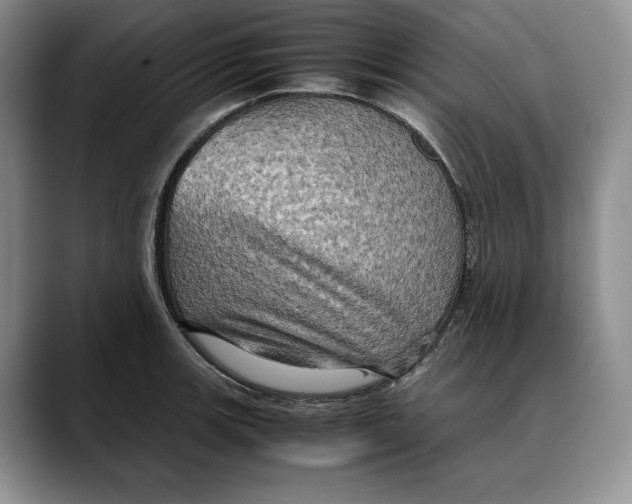X0000088481139200706121526