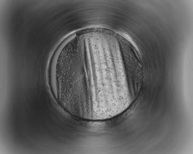 X0000088481140200706121526