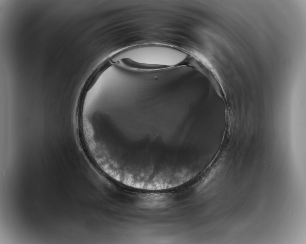 X0000088481141200706121526