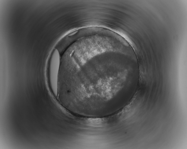 X0000088481142200706121526