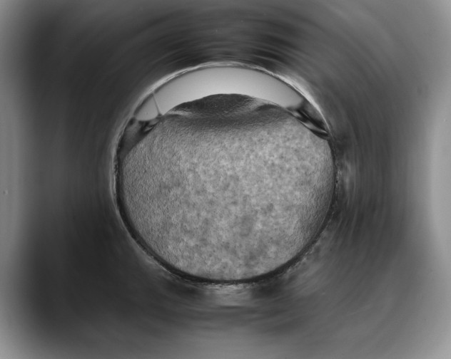 X0000088481143200706121526