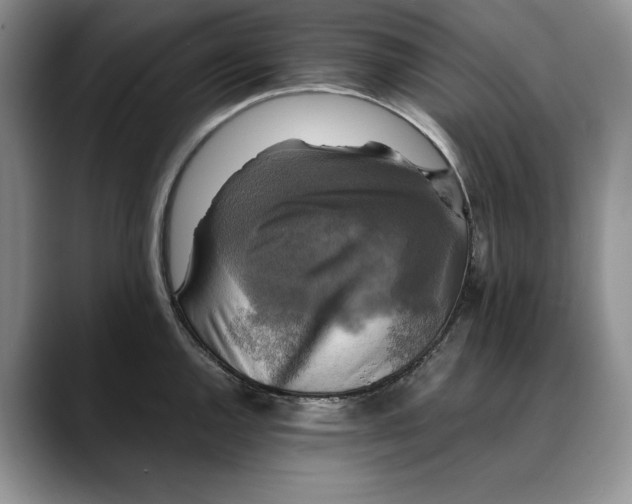 X0000088481144200706121526