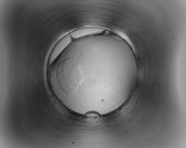 X0000088481146200706121526