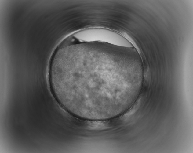 X0000088481149200706121526