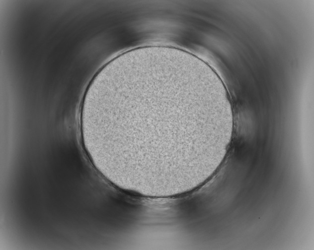 X0000088481150200706121526