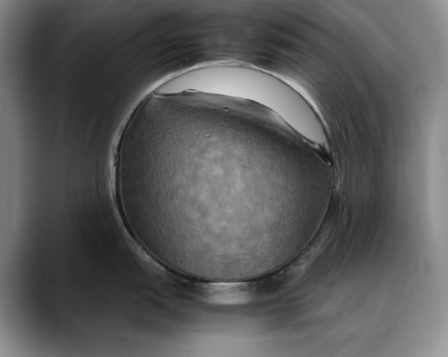 X0000088481151200706121526