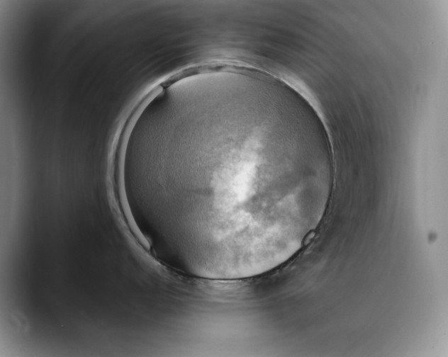 X0000088481152200706121526