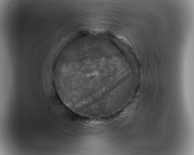 X0000088481153200706121526