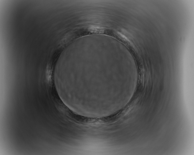 X0000088481154200706121526