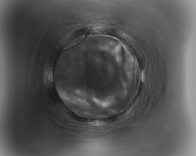X0000088481155200706121526