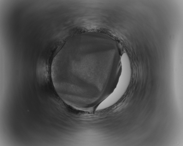 X0000088481156200706121525