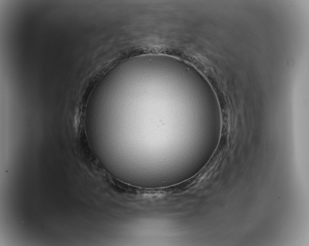 X0000088481157200706121525