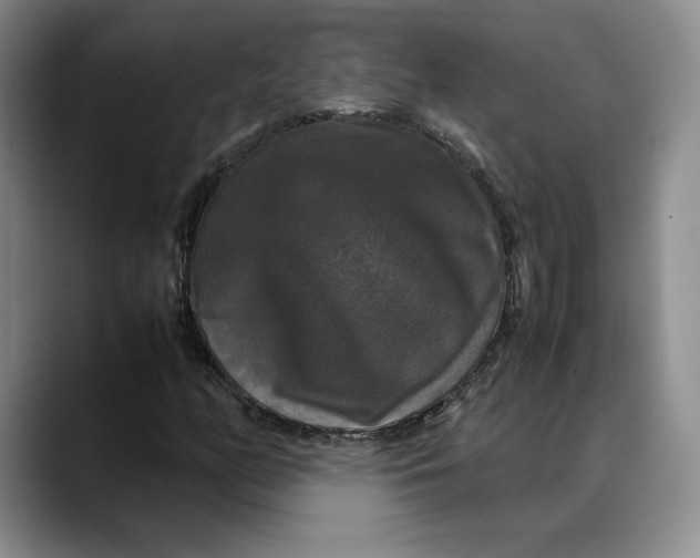X0000088481158200706121525