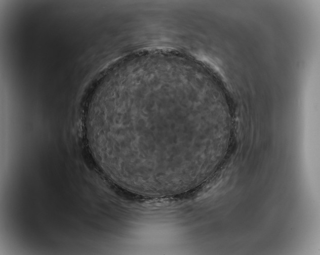 X0000088481159200706121525